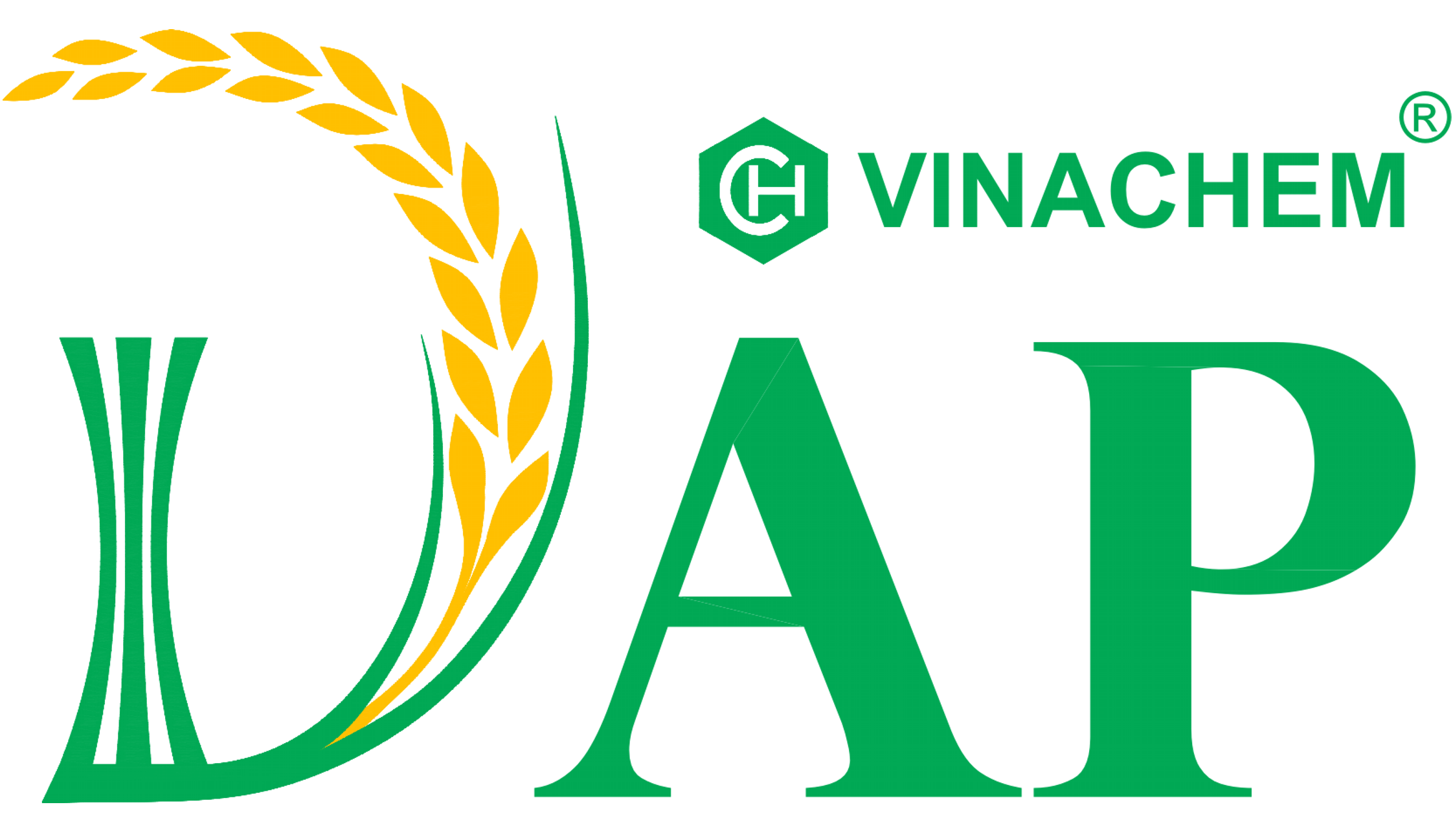 Công bố thông tin: Báo cáo tài chính Quý IV/2019